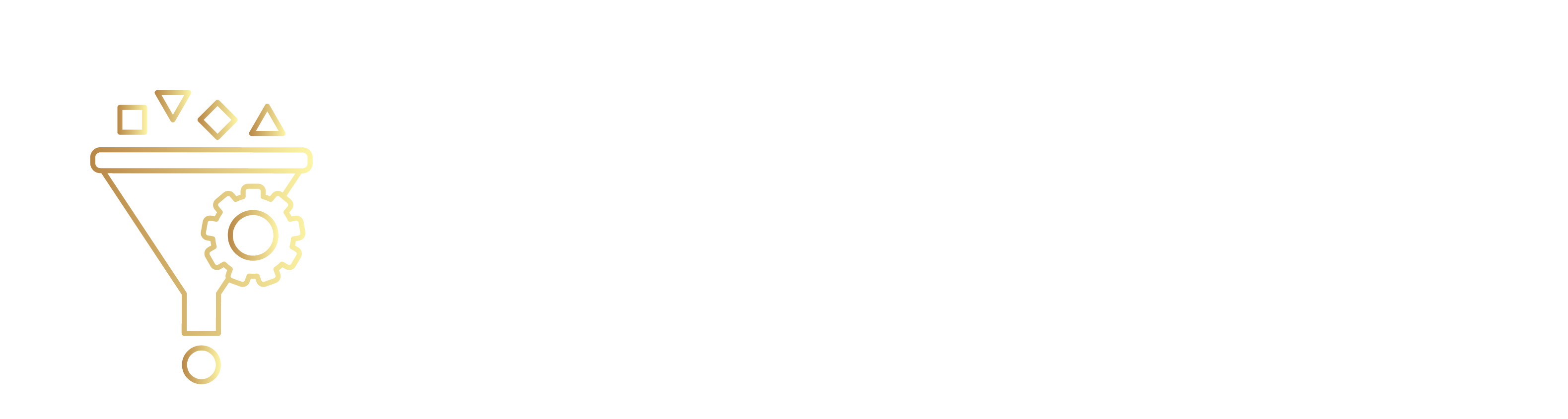 ViviSoft, LLC